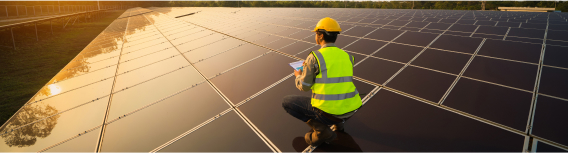 Environmental and Social Risk Analysis in Businesses
