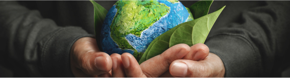 Ecoeficiencia Operacional 