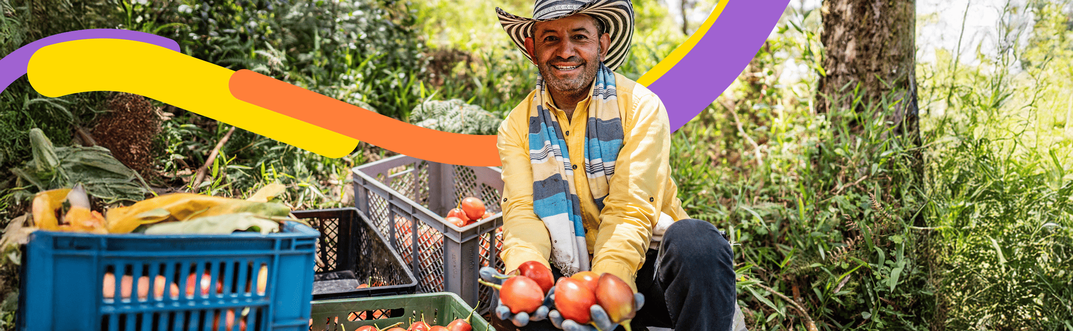 inclusion-financiera-rural-colombia