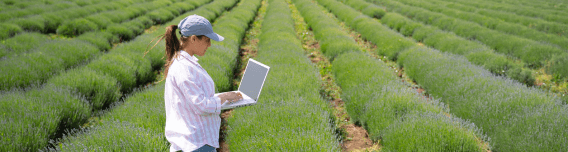Environmental Policy and Management System